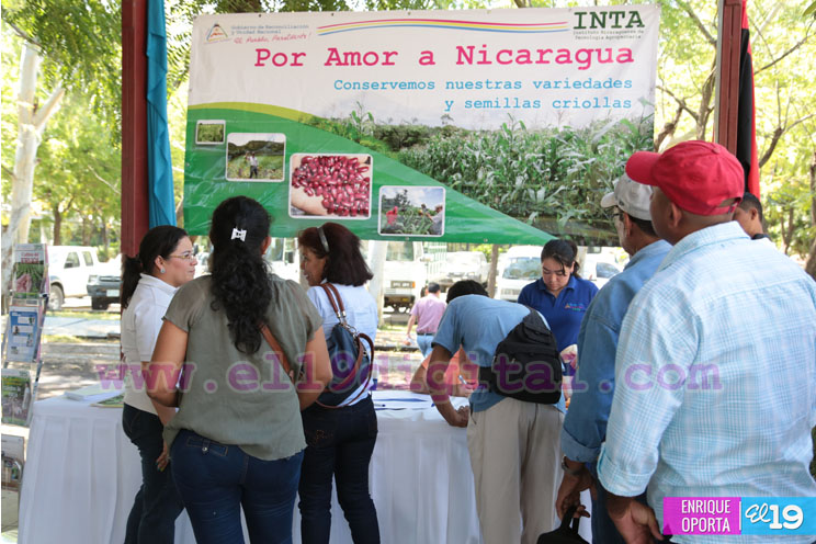Productores de granos b&aacute;sicos abordan conservaci&oacute;n de semillas criollas